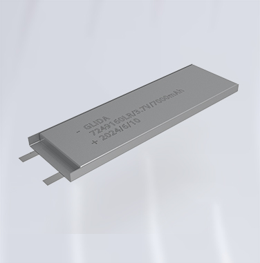 7249160 low temperature polymer lithium battery